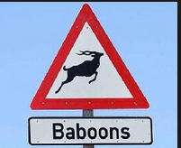 funnysigns7