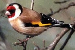 ScreenHunter_78 May. 22 20.09