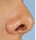 nose