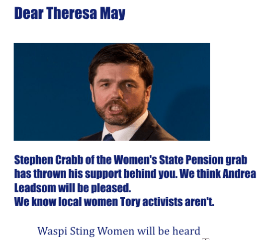 2Crabwaspi